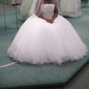 Ball Gown Wedding dress (dress only)